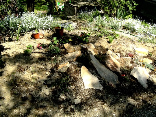 New Rock garden