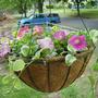 Basket_002