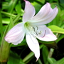 P1010076
