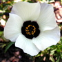 P1010045
