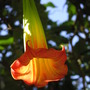 P1010087