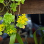 20080410_112