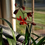 20080416_08