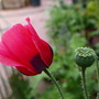 20080509_61