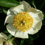 Dscn1718