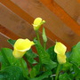Imported_photos_00016