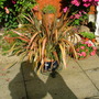 Imported_photos_00026