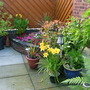 Imported_photos_00021