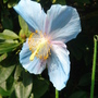 Dsc00845