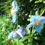 Dsc00847
