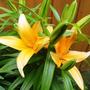 Sat_17_may_006
