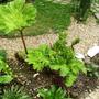 Sat_17_may_005