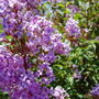 17_may_08_015_600