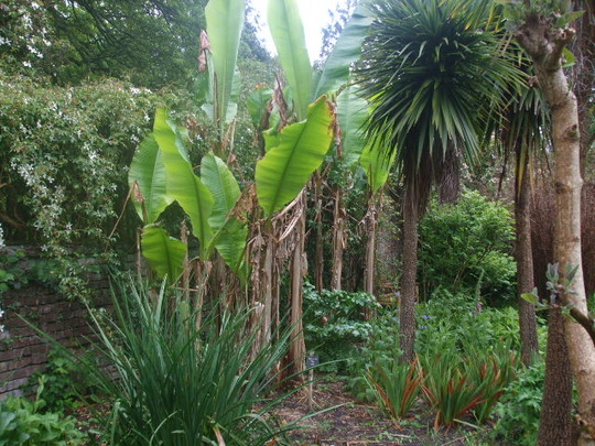 DSCF0712.jpg