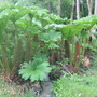 Dscf0710