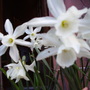 May_08_290