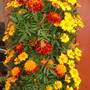 July_25_2007_003