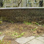 May_08_293
