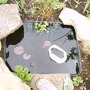 Fish2