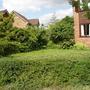 Copy_of_garden_059