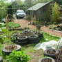 Garden_7months_in_1