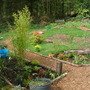 Garden_7months_in