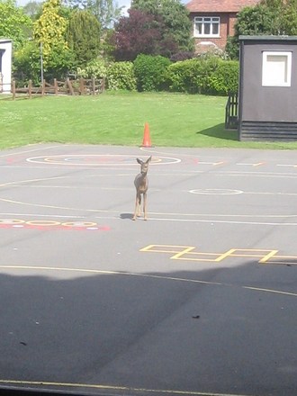 Fancy a game?