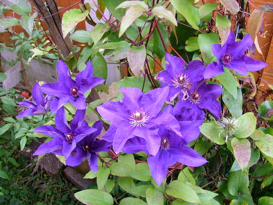 Imported_Photos_00039.jpg