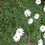 Pictures_to_sort_014