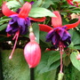 Imported_photos_00042