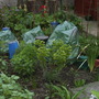 Frost_protection_2