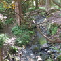 Dscf0741