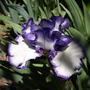 20080410_80