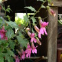 20080509_08