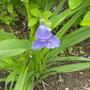 Posts_6
