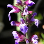 P4240021