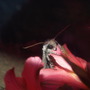 20080502_24