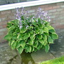 Imported_photos_00045