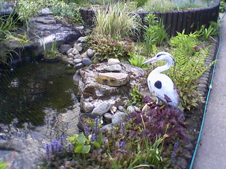 My friend Stan's Pond