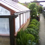 Photo-0012_stan__greenhouse