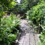 Captured_2007-7-22_00009