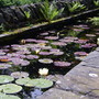 Captured_2007-7-22_00020