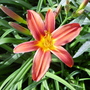 Captured_2007-7-28_00007