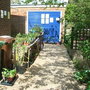 Plants_for_sale