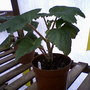 Photo-0015