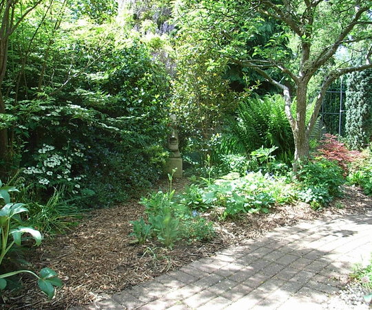 Open Garden 2008 - 7