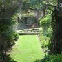 Back_garden_looking_towards_the_house
