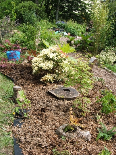 New bed planted up this weekend (May08)