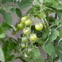 Captured_2007-7-28_00018