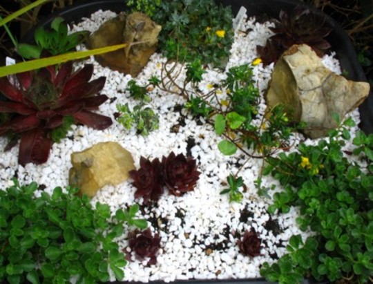 This is my little barbie rock garden